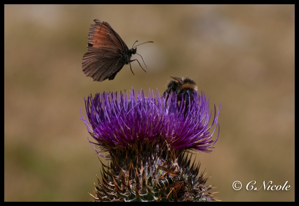 Stacks Image 160997