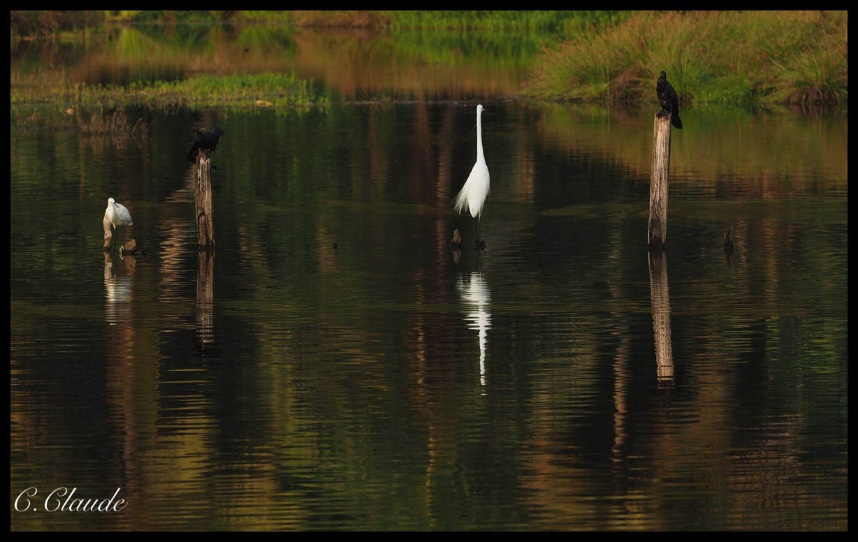 Stacks Image 50497